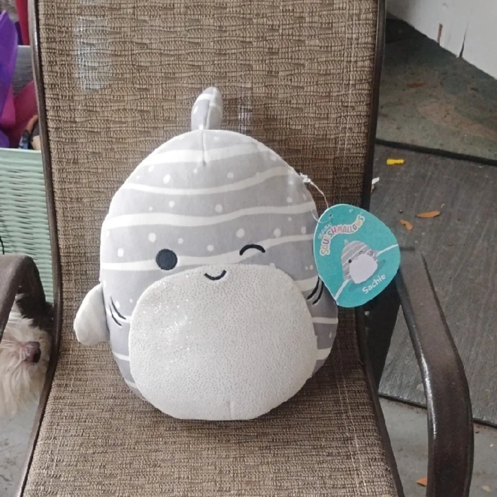 Squishmallow Sachie Shark